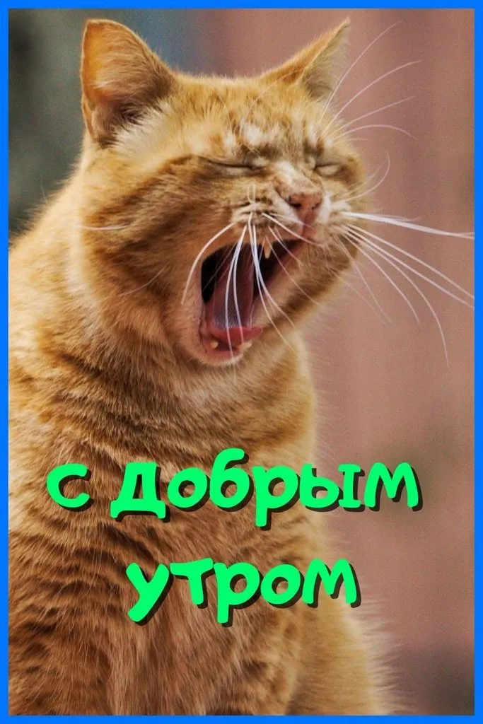 Кафе «У пани Сони»