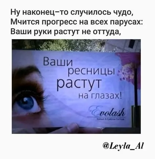 Всюду рифмы