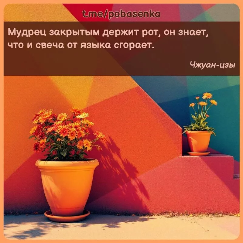 «Мудрец закрытым держит рот, он знает, что и свеча от языка...» height="550" width="550"