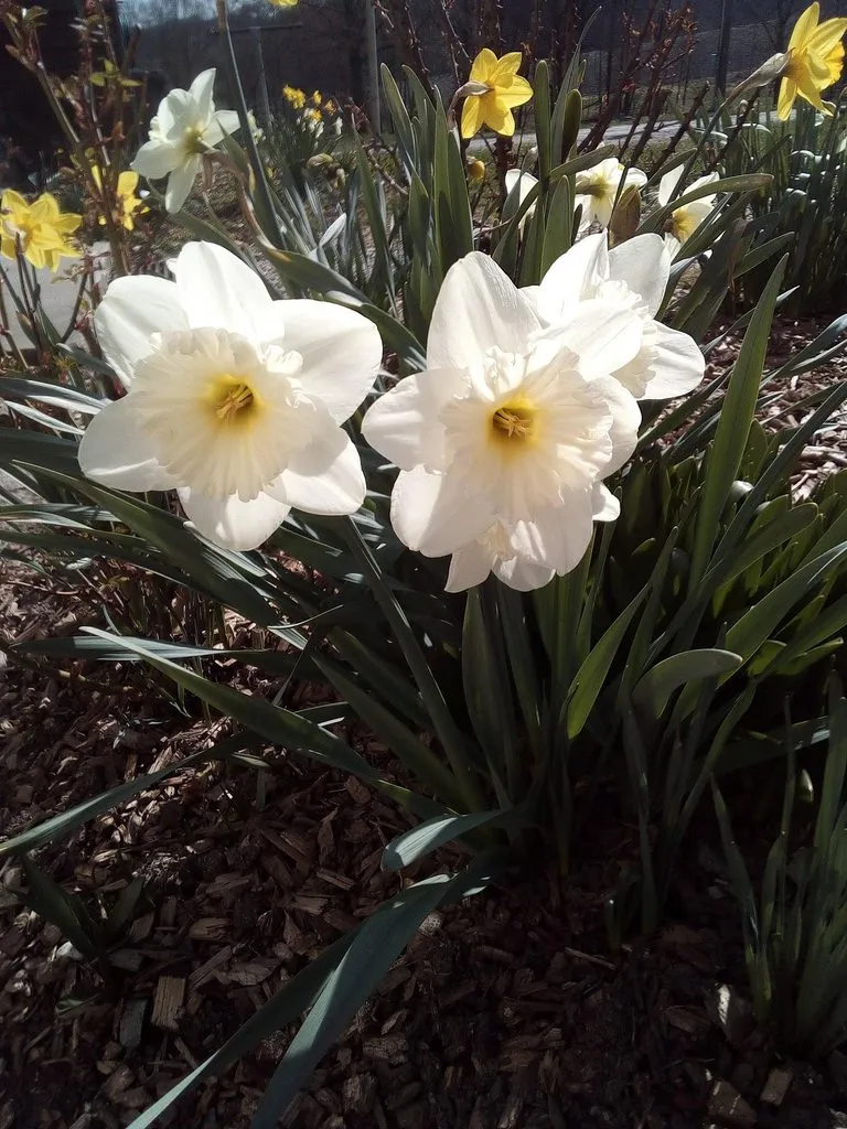 Tapтaлeтки & Ко