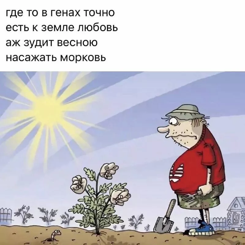 Загородная жизнь - обустройство на земле во всем разнообразии