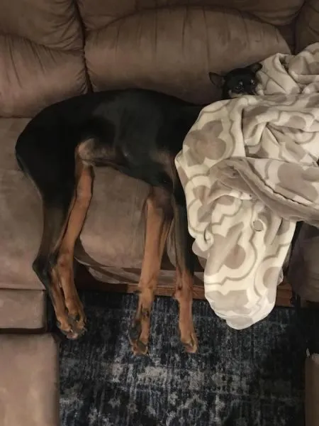 Посмеялся сам - поделись с другом!!!