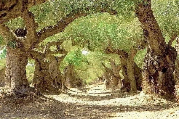 Арт галерея