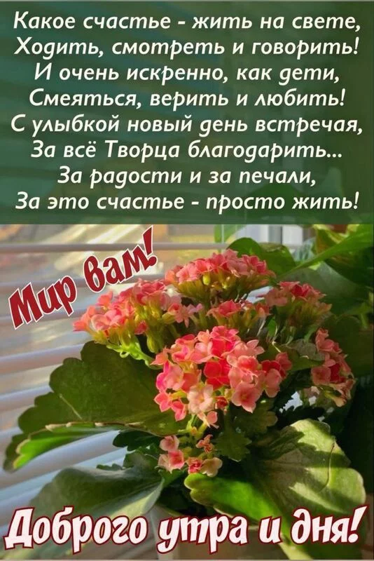 Кафе "У пани Сони"