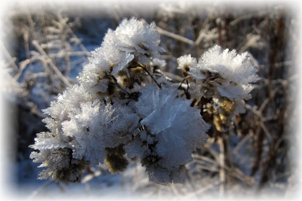 Tapтaлeтки & Ко