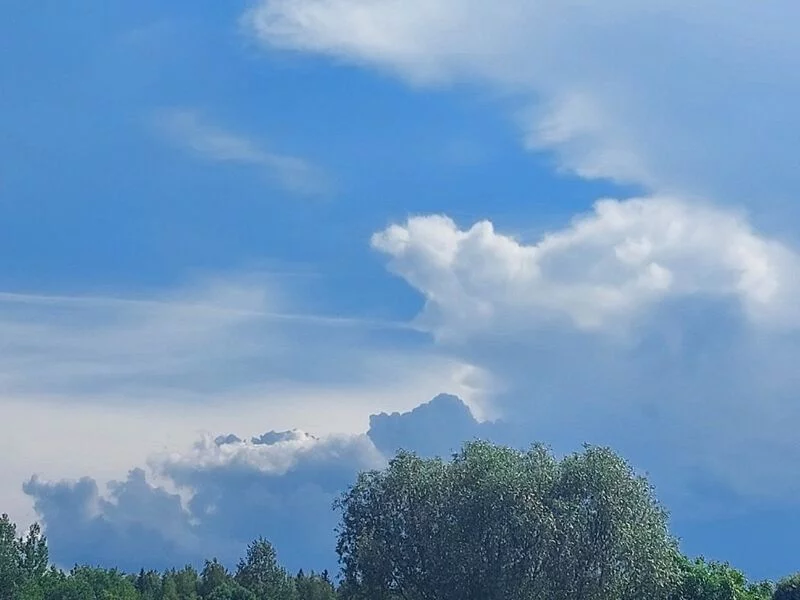 Такое разное небо