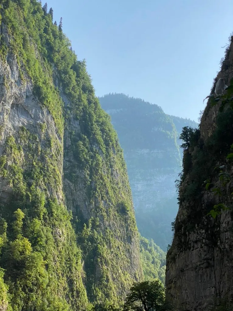 Чайная беседка