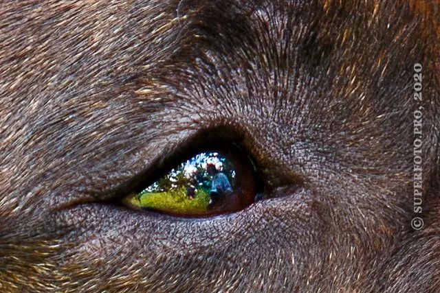 Посмеялся сам - поделись с другом!!!