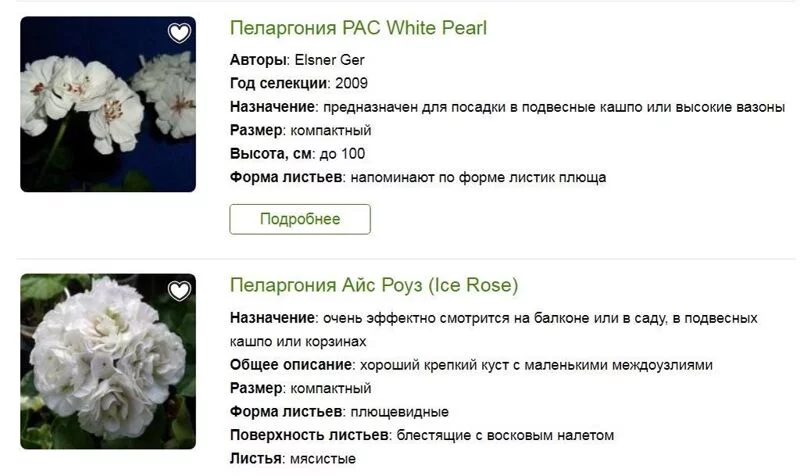 Лютики-цветочки или увлекательное крестьянство