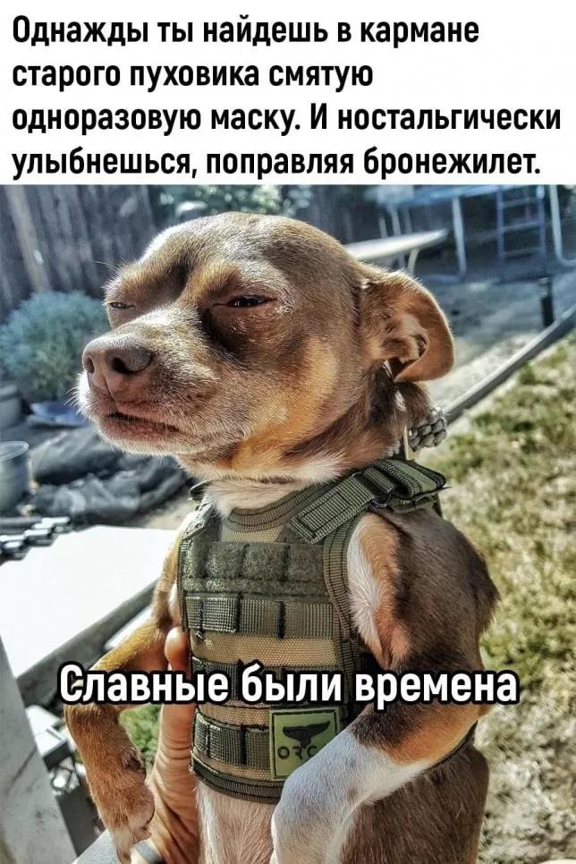 Посмеялся сам - поделись с другом!!!