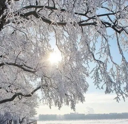 Такое разное небо