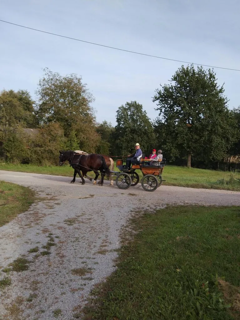 Чайная беседка