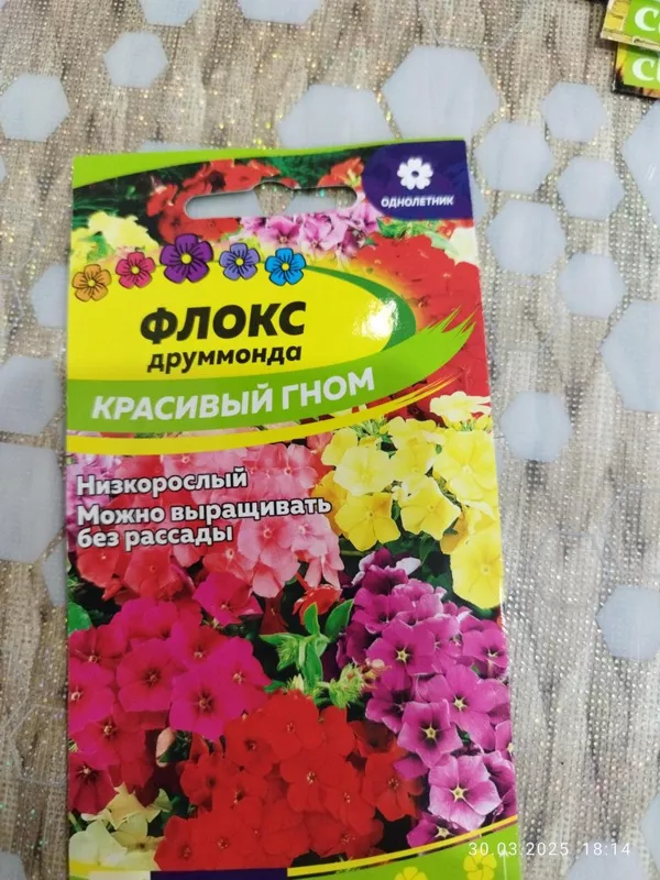 Сажаем, растим, собираем урожай…