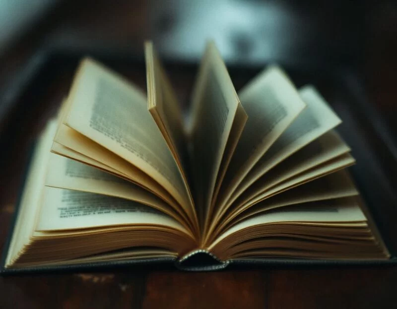 Литературные беседы с Венедиктом Трофимовичем