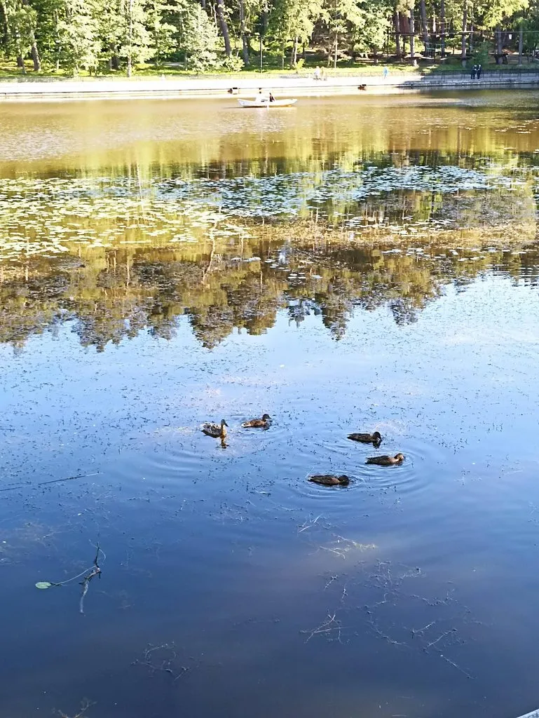Калининградская область (не только море и янтарь) 