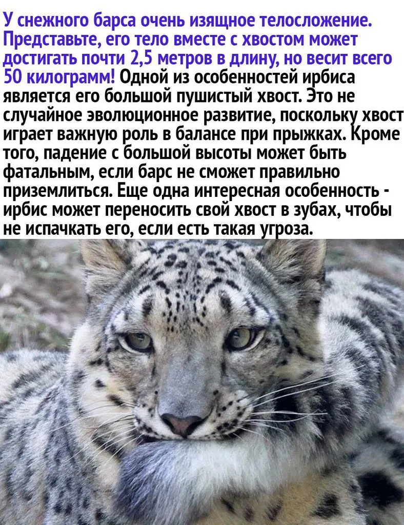 Это интересно!
