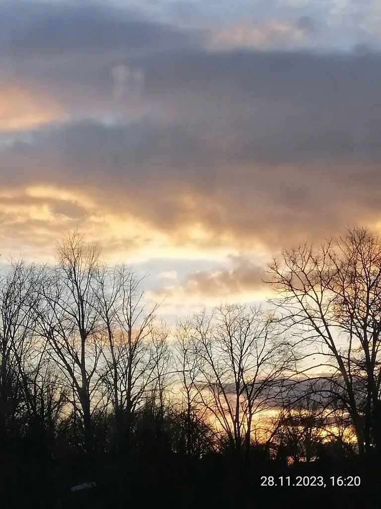 Такое разное небо