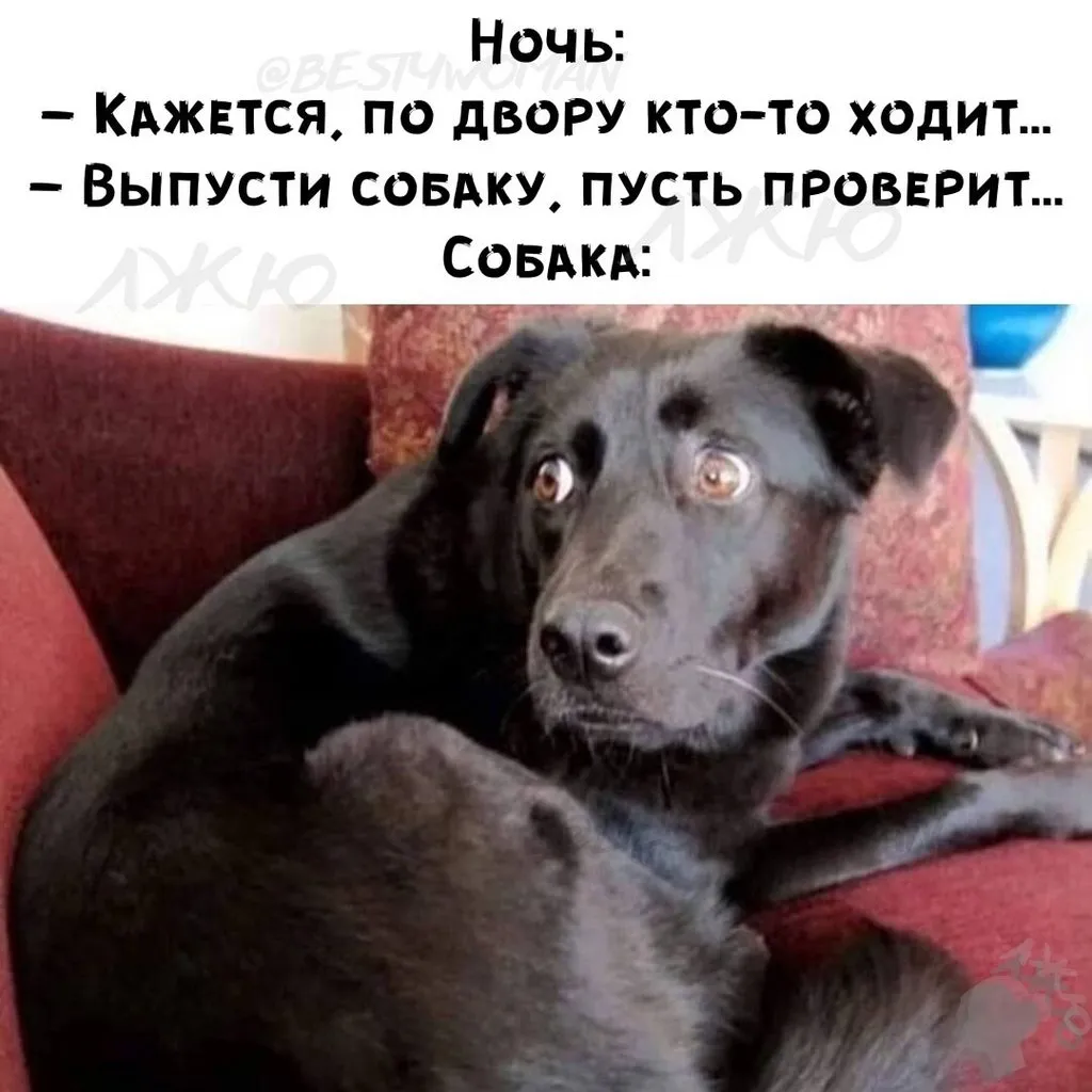 Посмеялся сам - поделись с другом!!!