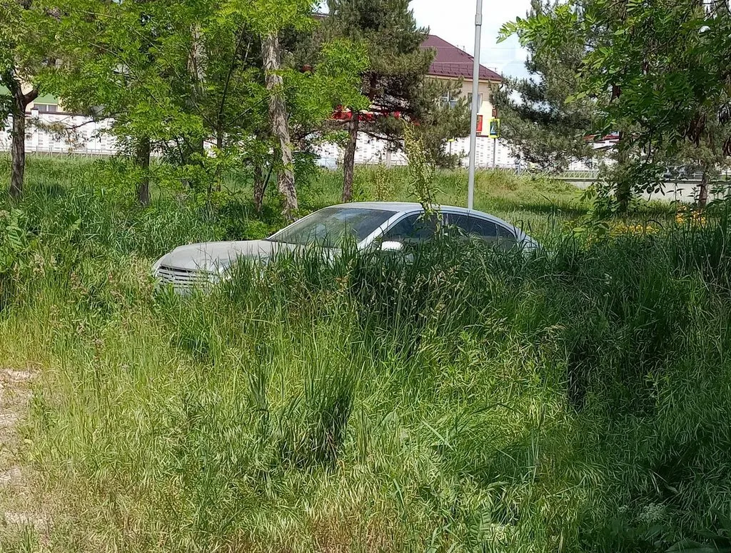 Чайная беседка