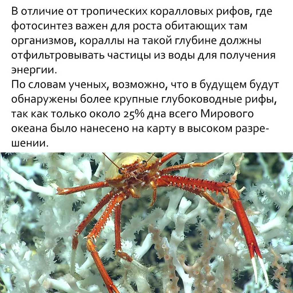 Это интересно!