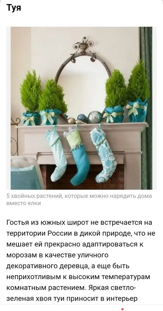Кафе «У пани Сони»