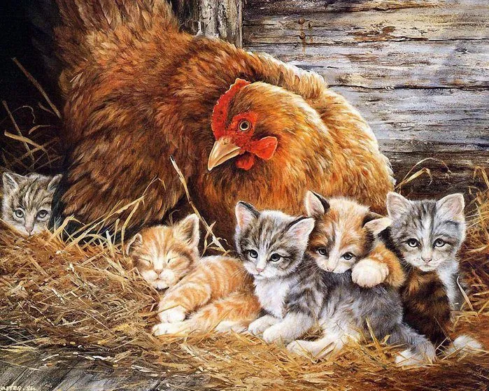 Рассказы для души