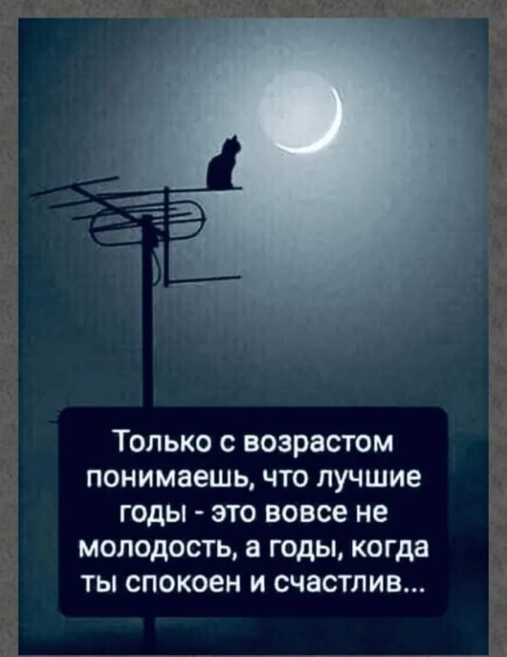 Tapтaлeтки & Ко