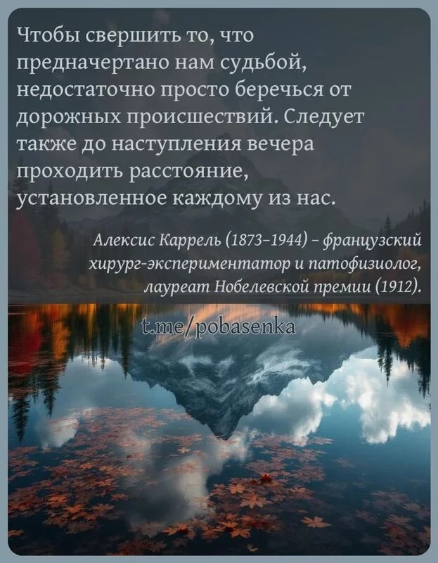 «Чтобы свершить то, что предначертано нам судьбой, недостаточно просто беречься от дорожных происшествий. Следует также до...» height="550" width="550"