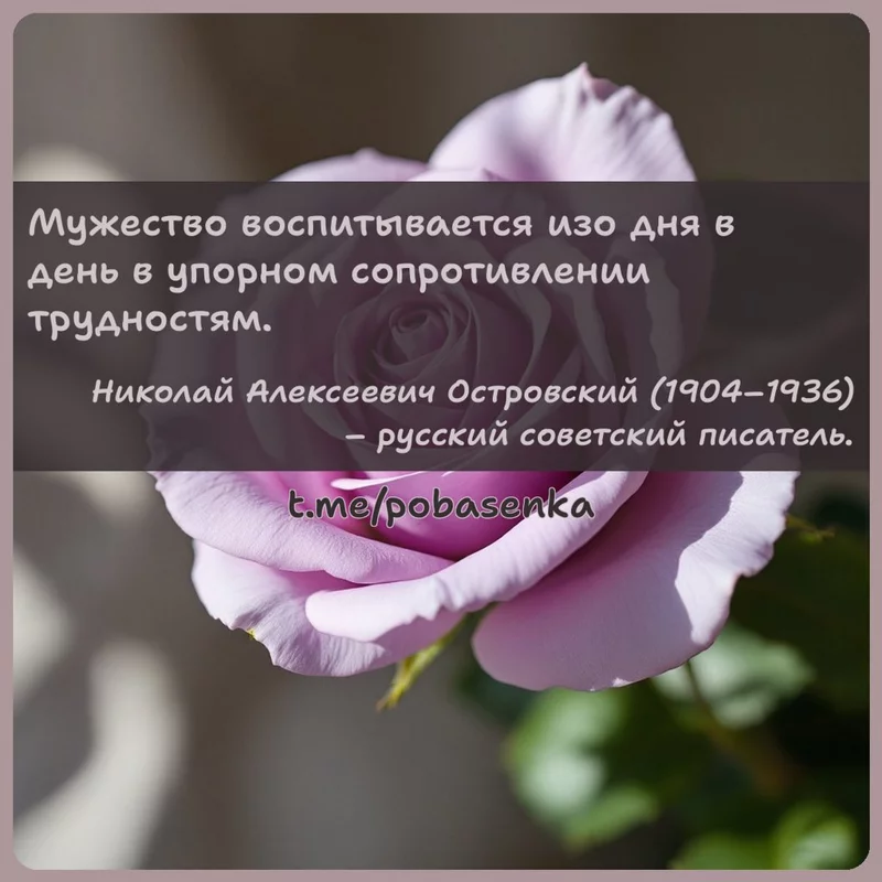 «Мужество воспитывается изо дня в день в упорном сопротивлении...» height="550" width="550"