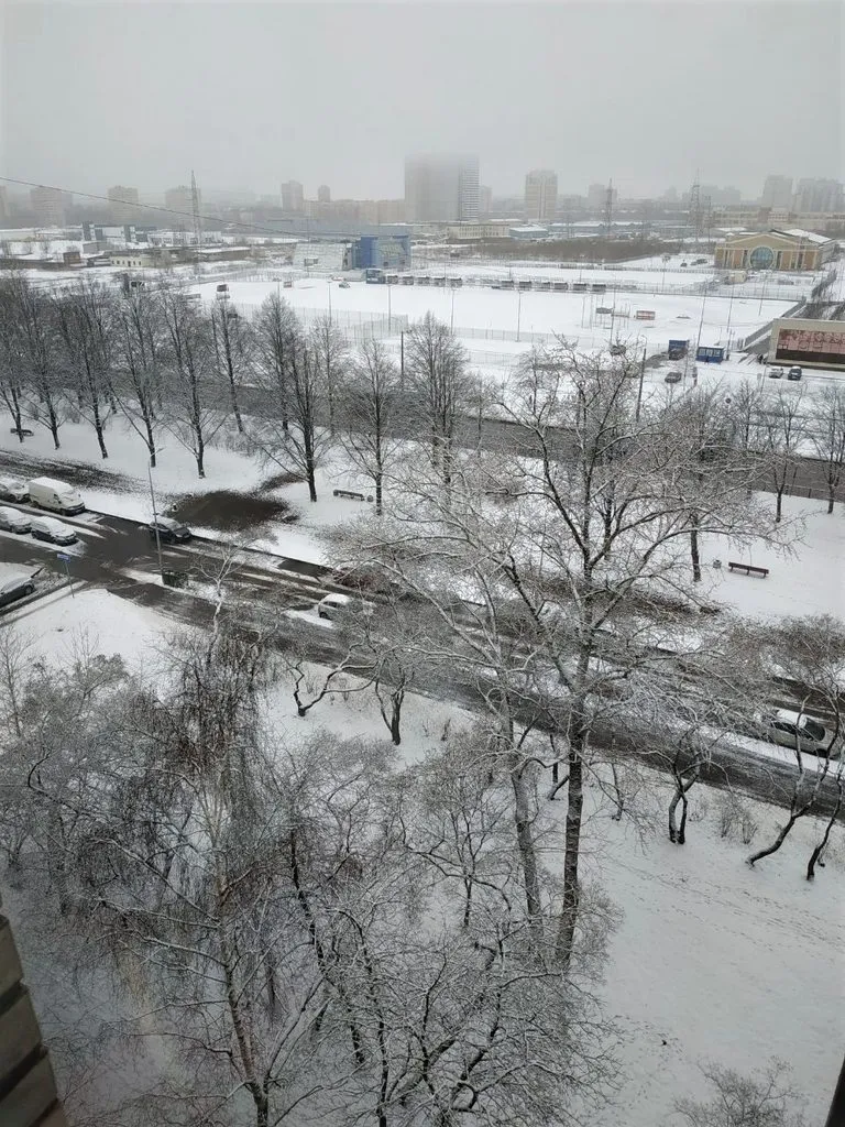 Tapтaлeтки & Ко