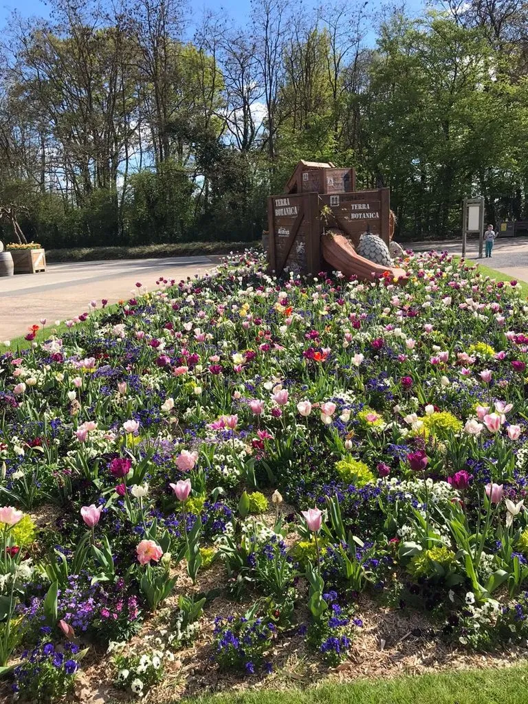 Прогулка по жемчужине французской Луары - городу Анже