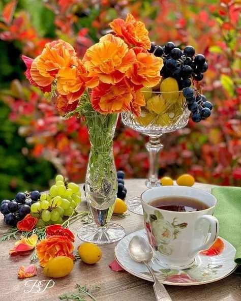 Чайная беседка