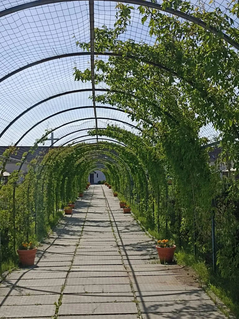 Калининградская область (не только море и янтарь) 