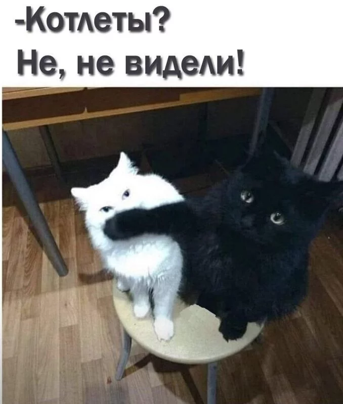 Посмеялся сам - поделись с другом!!!
