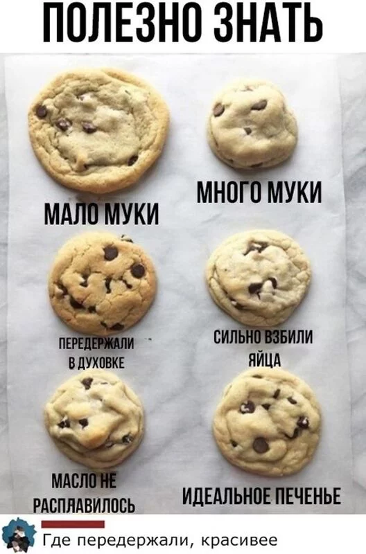 Кулинарная инфографика в рецептах