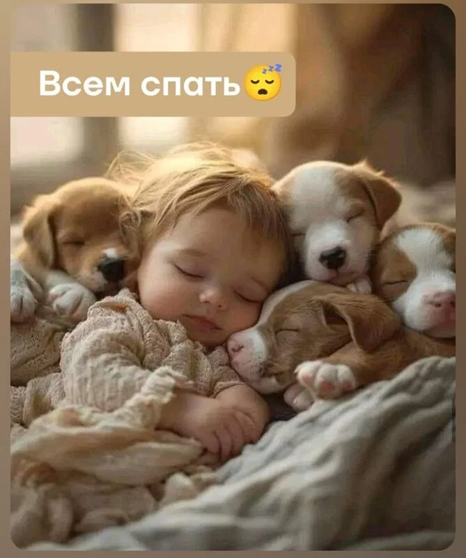 Кафе "У пани Сони"