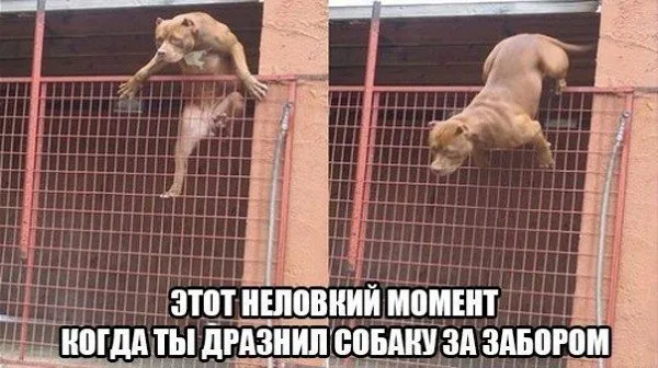 Посмеялся сам - поделись с другом!!!