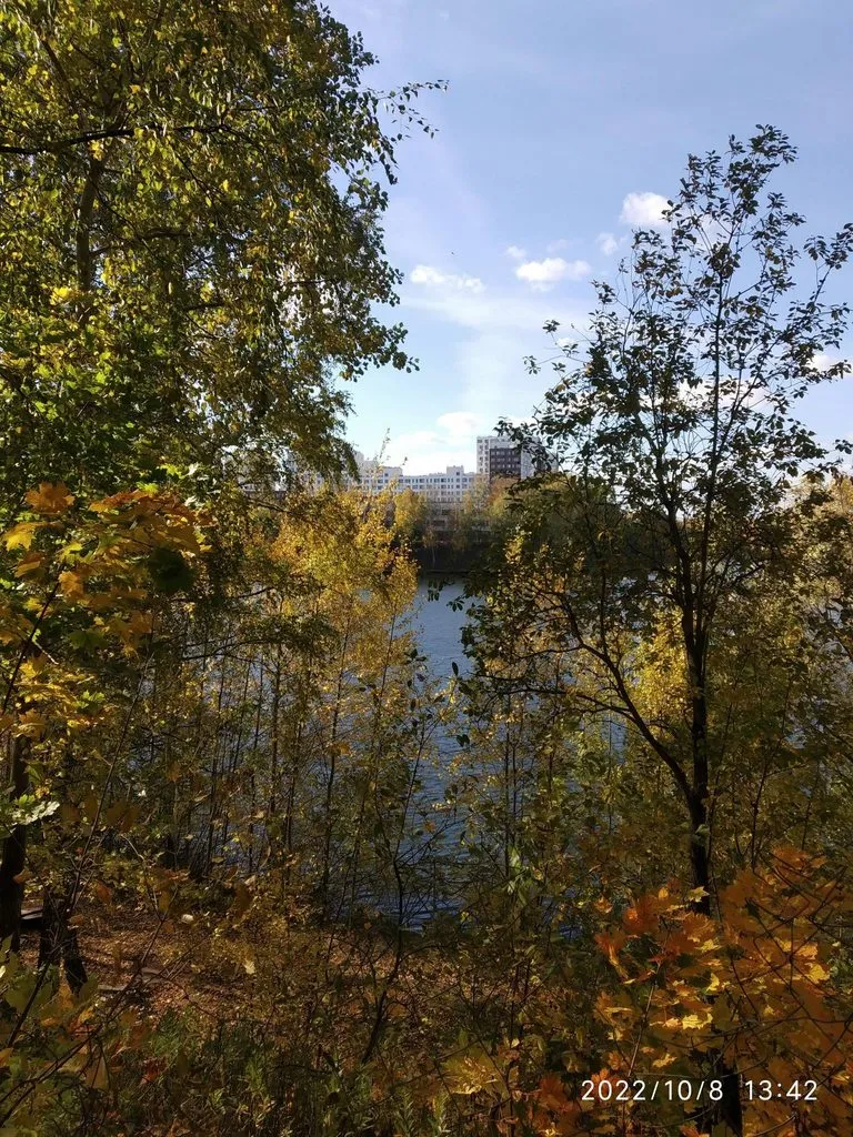 Чайная беседка