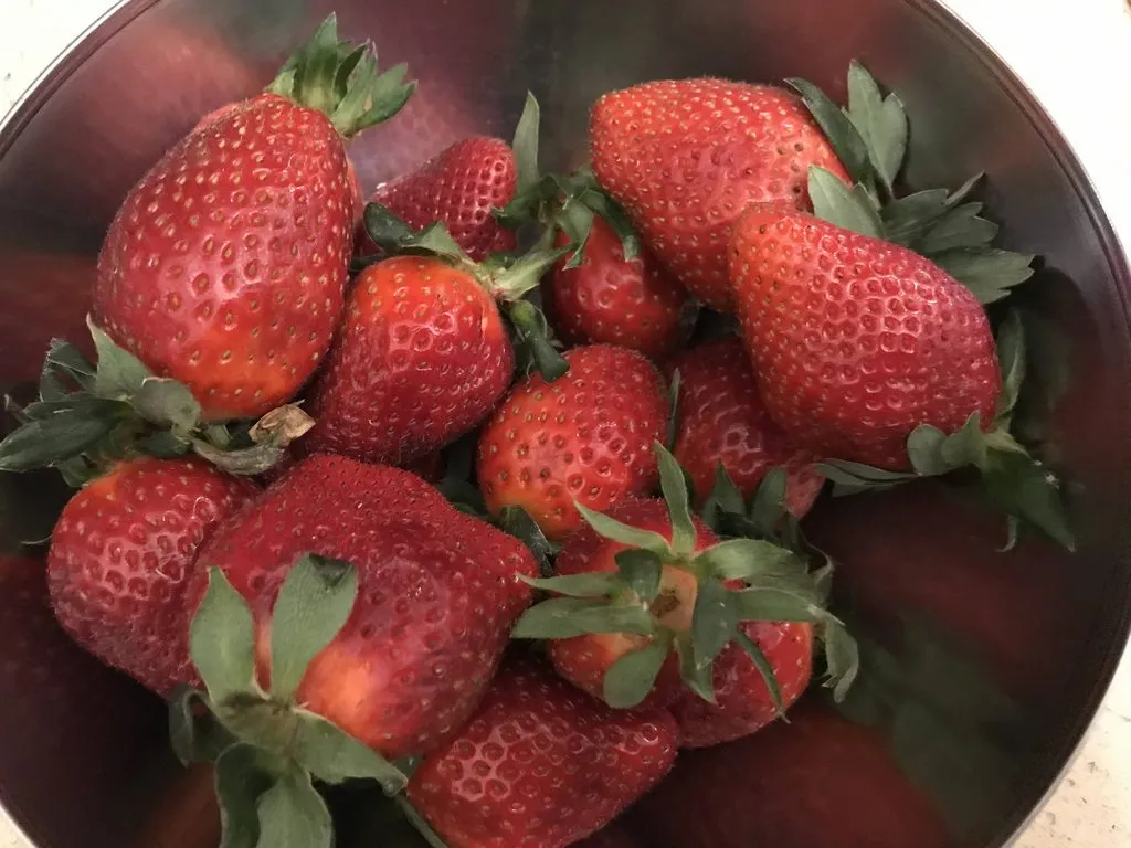 Что Вы сейчас едите? Фотоблог с вашего стола