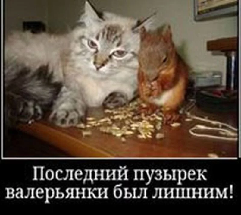 Посмеялся сам - поделись с другом!!!