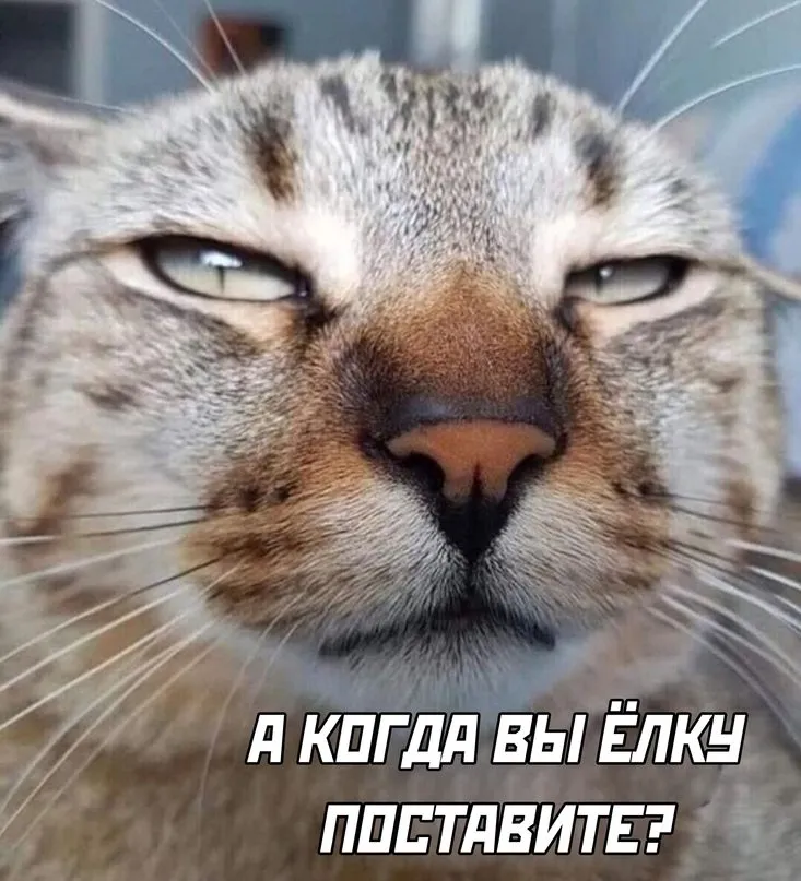 Посмеялся сам - поделись с другом!!!