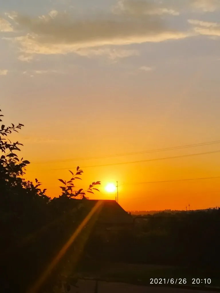 Чайная беседка