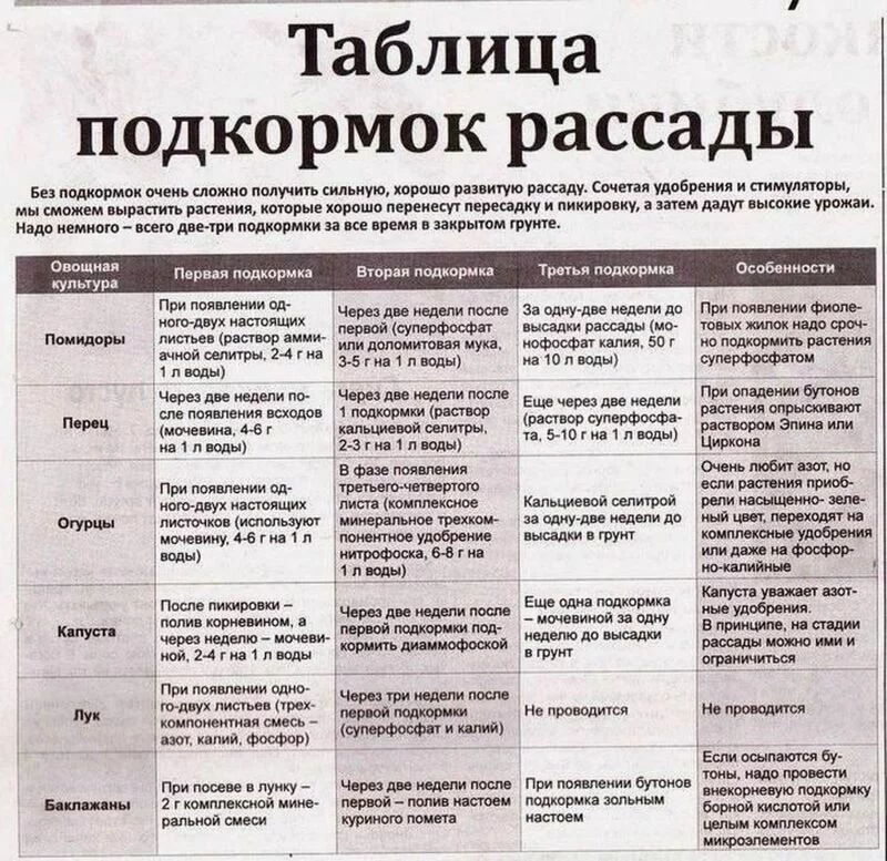 Садово-огородная  инфографика
