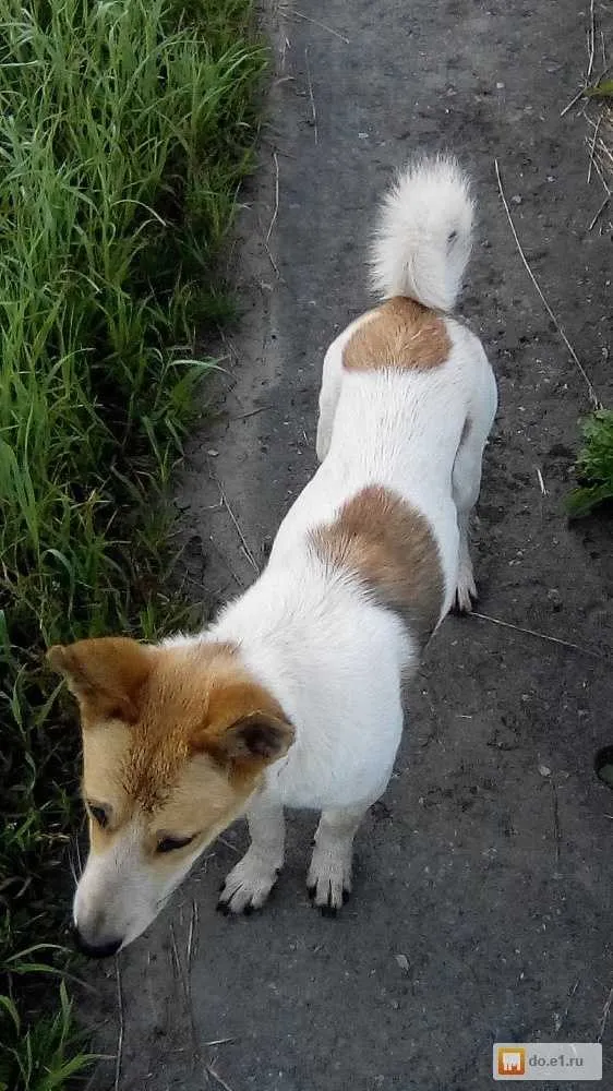 Рассказы для души