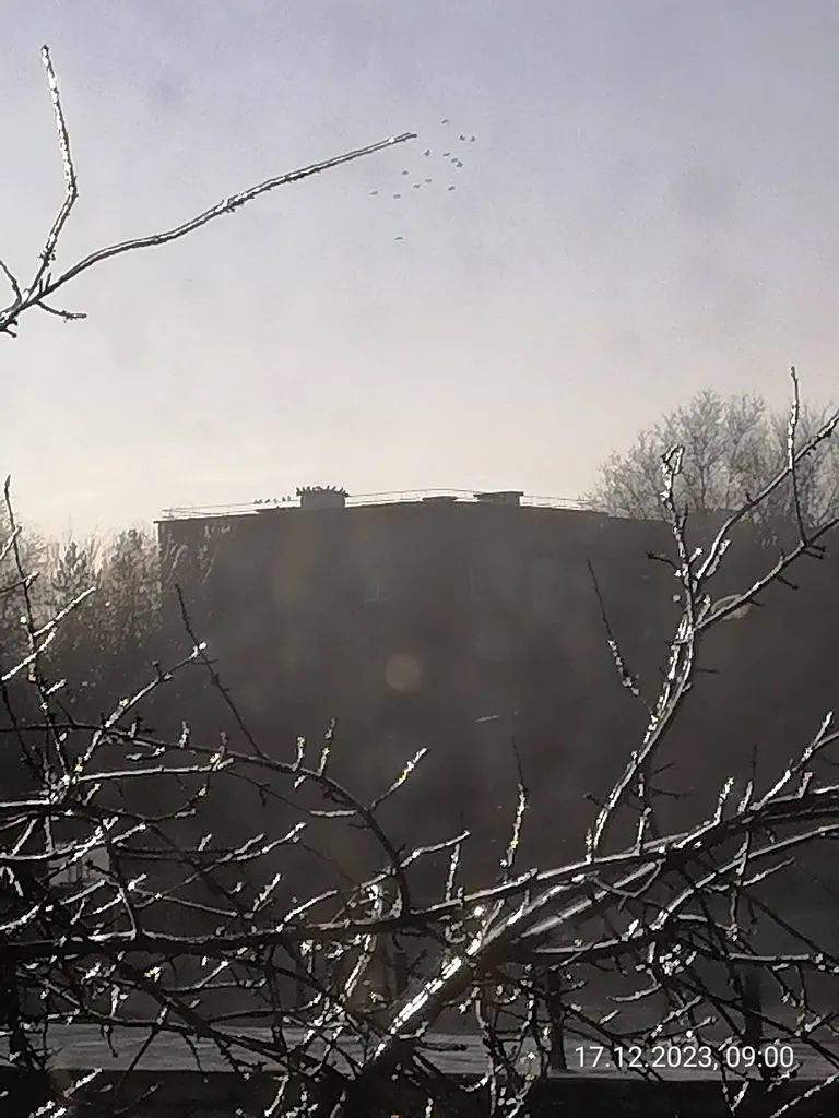 Чайная беседка