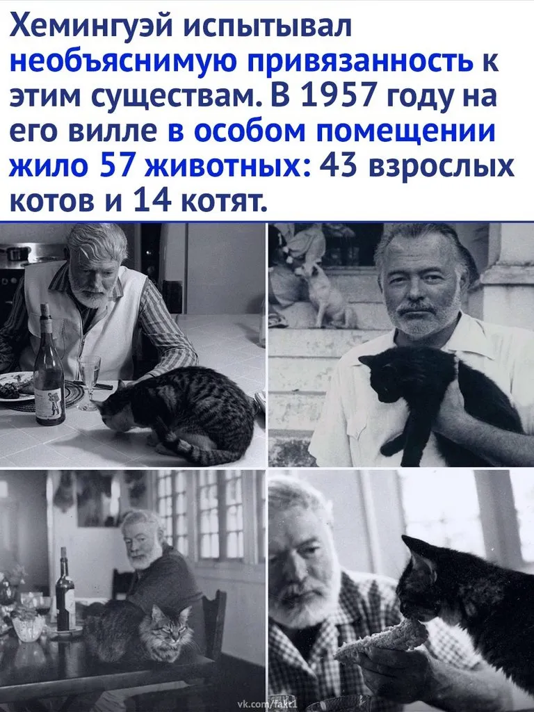 Это интересно!