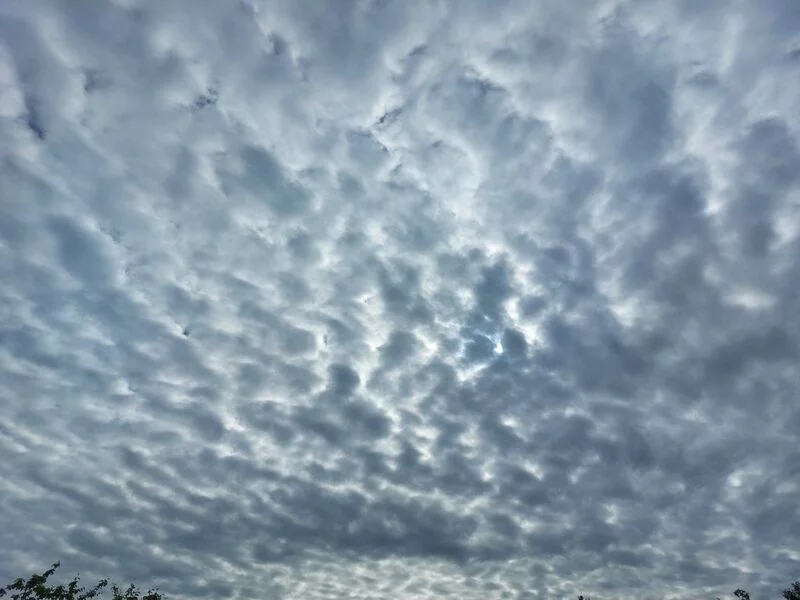 Такое разное небо