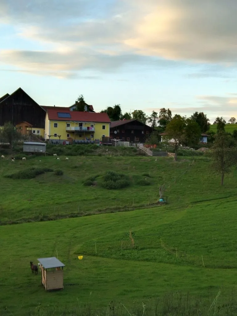 Чайная беседка