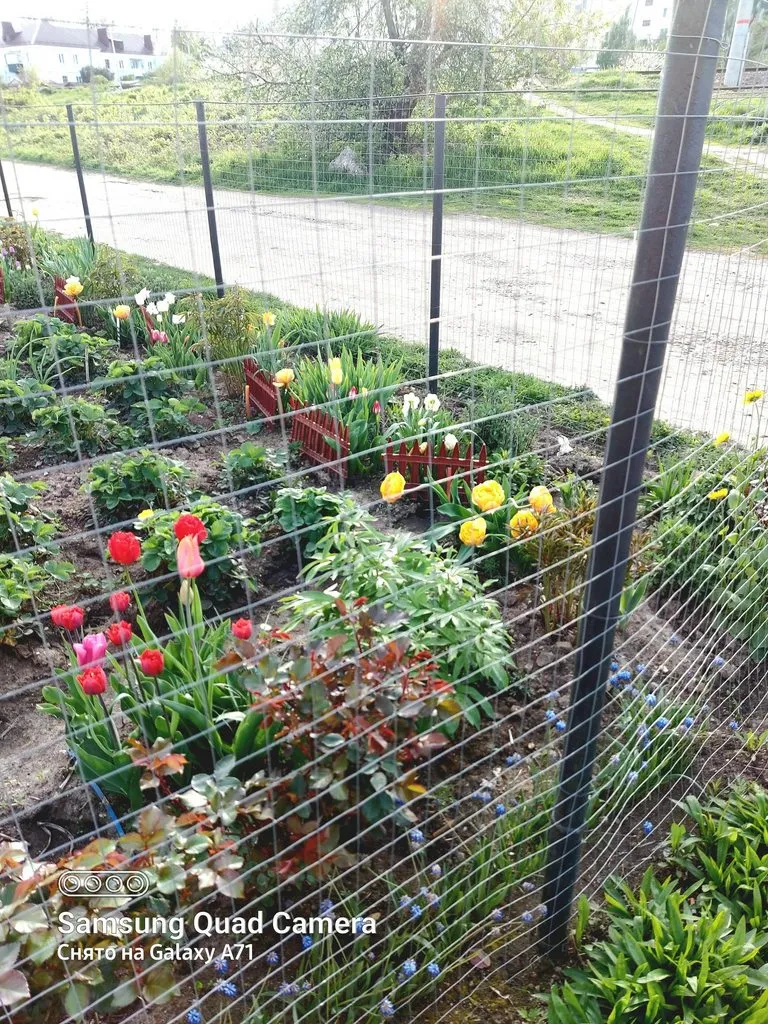 Чайная беседка