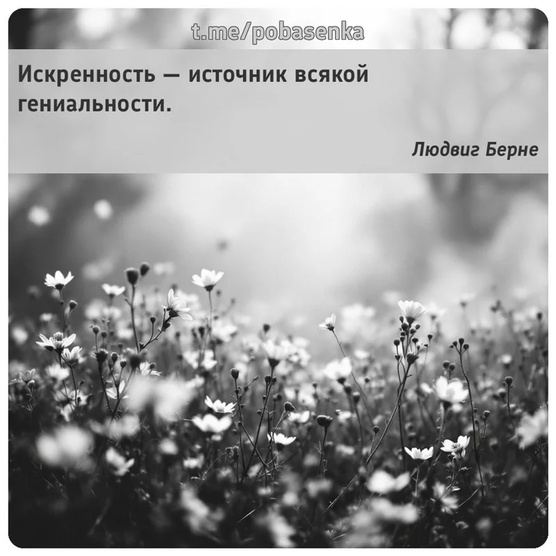 «Искренность — источник всякой...» height="550" width="550"